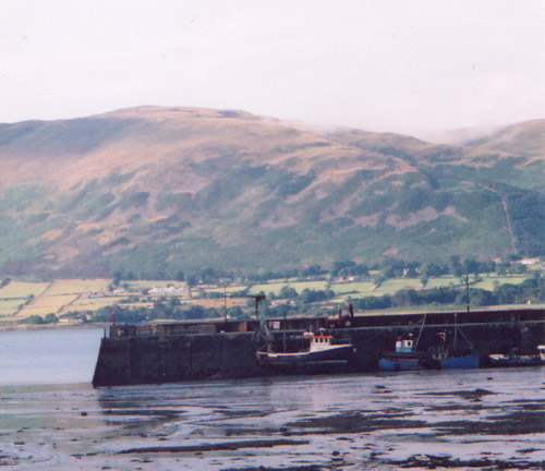 LowTideCarlingfordHarbor.jpg (68677 bytes)